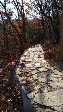 山路