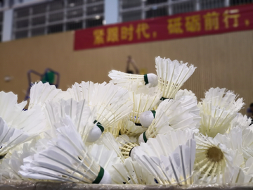 羽毛球
