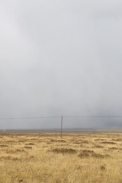 高原草地大雾来袭