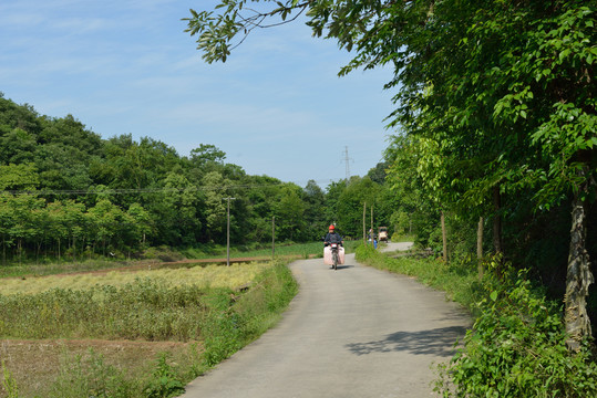 农村公路