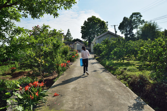 乡村公路