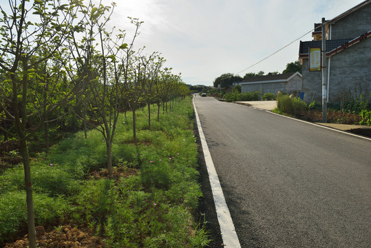 乡村公路