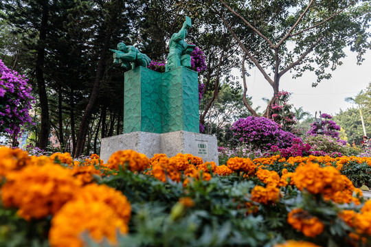 广州雕塑公园簕杜鹃展