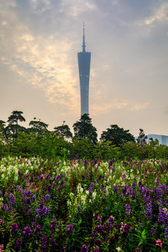 广州二沙岛宏城公园