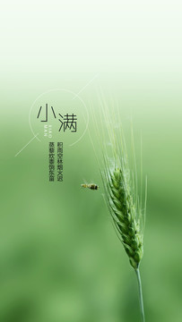 小满节气