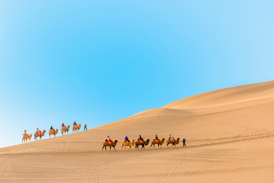 敦煌鸣沙山骆驼队