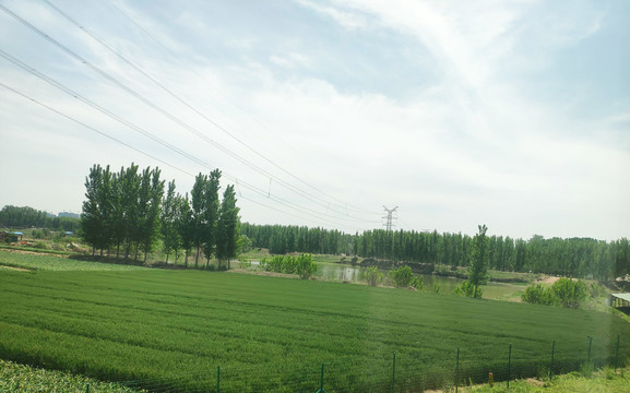 item.picName