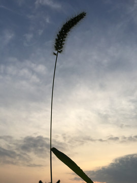 黄昏的天空