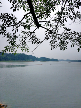 龙水湖