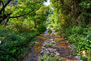 山林小路