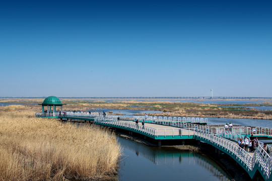 龙凤湿地