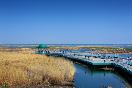 湿地桥梁