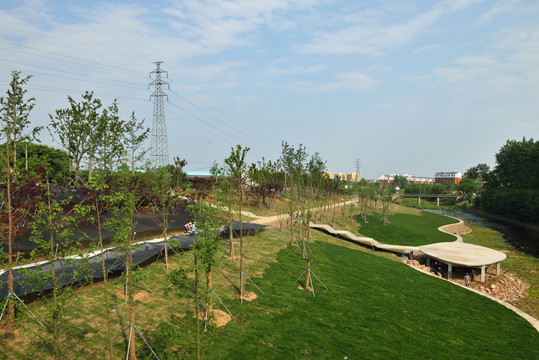 城市绿化建设
