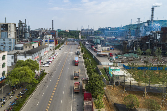 城市绿化建设