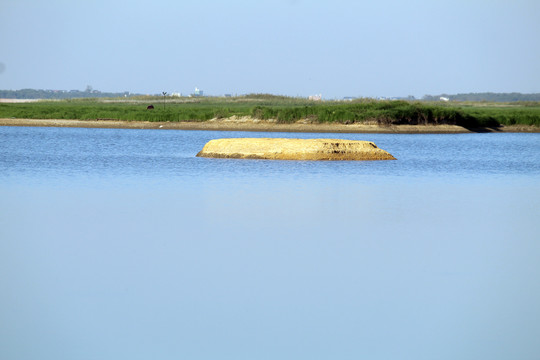 鄱阳湖风光