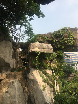 清晖园远眺假山巨石