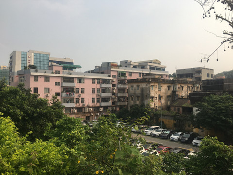 清晖园远眺风景
