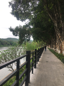 广州麓湖公园人行道