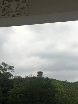 麓湖公园远眺鸿浩楼