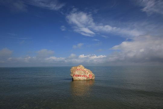 青海留念油菜花田园美景