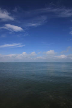 青海留念油菜花田园美景