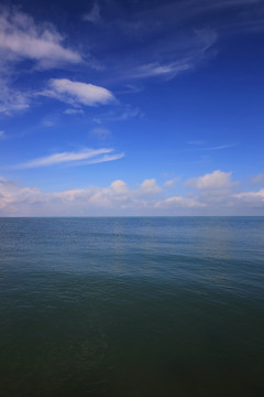 青海留念油菜花田园美景