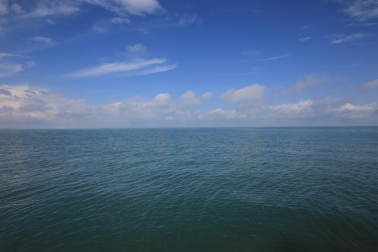 青海留念油菜花田园美景