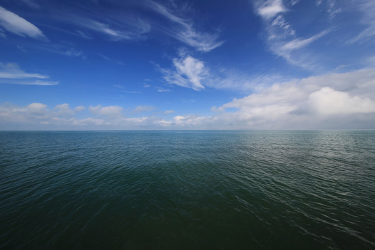 青海留念油菜花田园美景