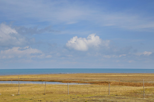 青海湖湖光美景