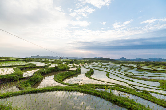 贵阳云顶草原