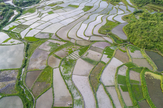 贵阳高坡云顶