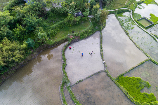 贵阳高坡云顶