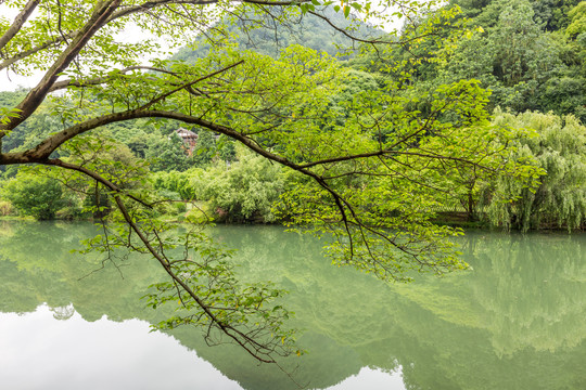 贵阳花溪公园