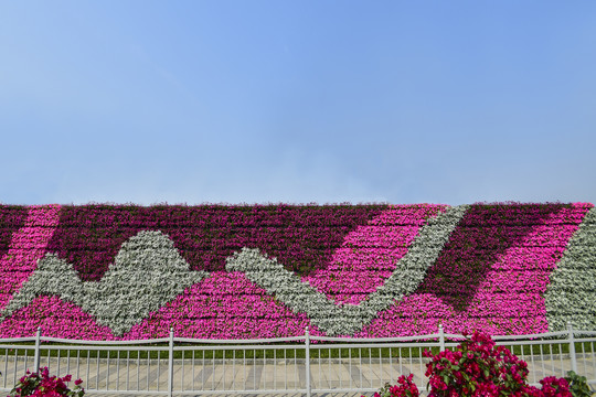 垂直绿化植物景观墙