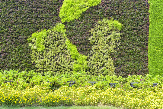 植被墙