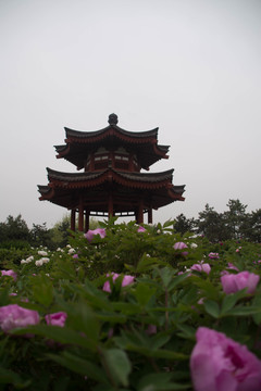 亭子