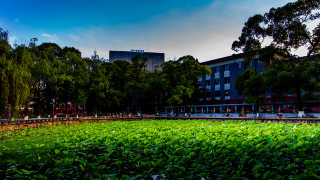 四川大学