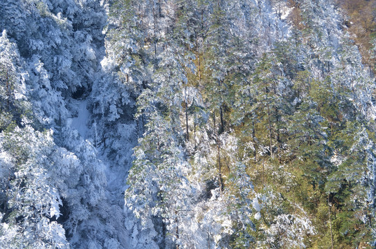大雪