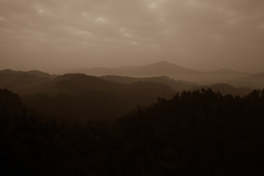 树木和山脉映衬着云景