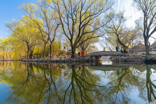 北京颐和园圆明园春季迷人风光