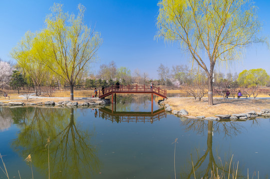 北京颐和园圆明园春季迷人风光