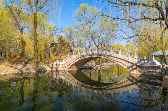 北京颐和园圆明园春季迷人风光