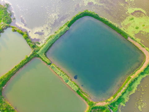 湖北大冶保安湖国家湿地公园航拍