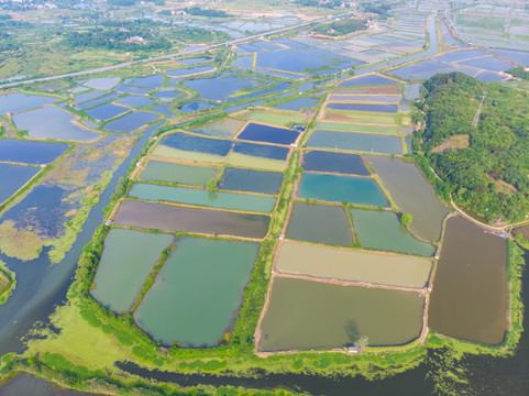 湖北大冶保安湖国家湿地公园航拍
