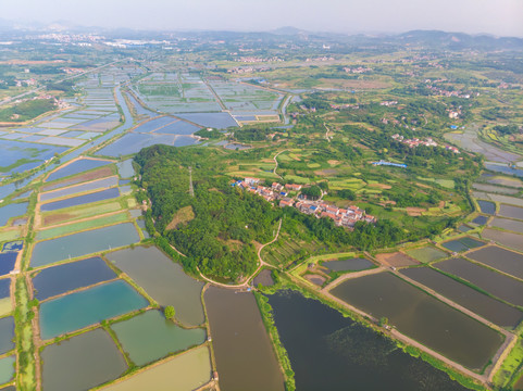 湖北大冶保安湖国家湿地公园航拍