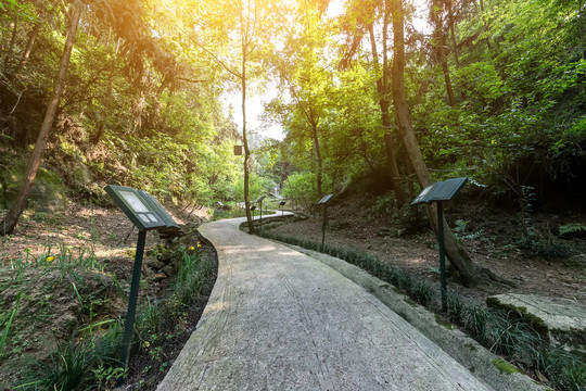 南山壹华里公园中的步道