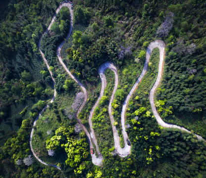 山路弯弯
