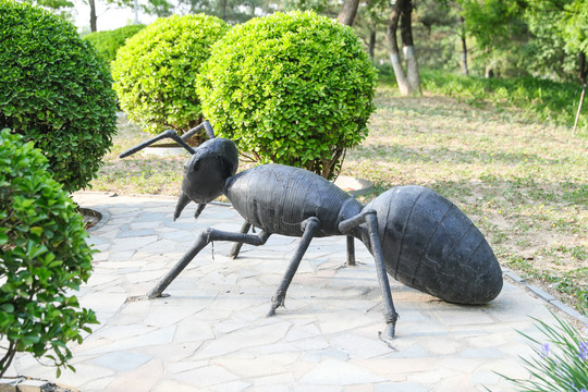 世界花卉大观园蚂蚁雕塑