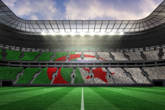 阿尔及利亚国旗对大型足球场
