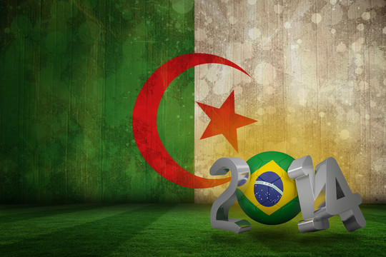 巴西世界杯对阿尔及利亚国旗